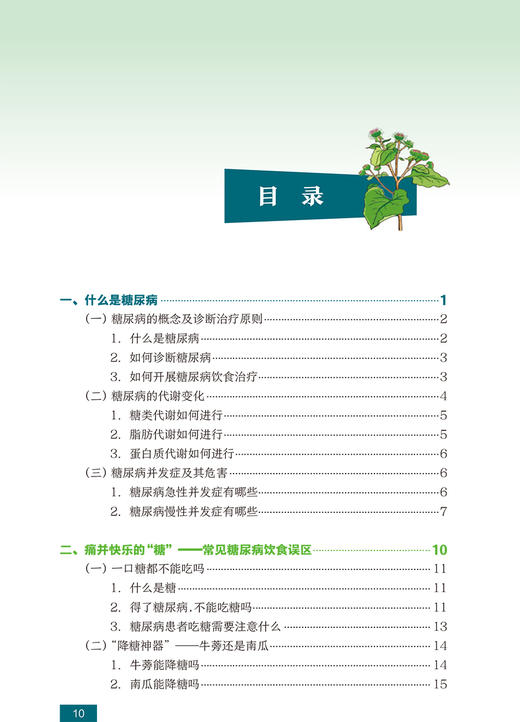 国民营养科普丛书 糖尿病膳食指导 帮助大众建立正确的糖尿病膳食指导原则 熊鹰 朱文艺 主编 9787117303347人民卫生出版社 商品图4