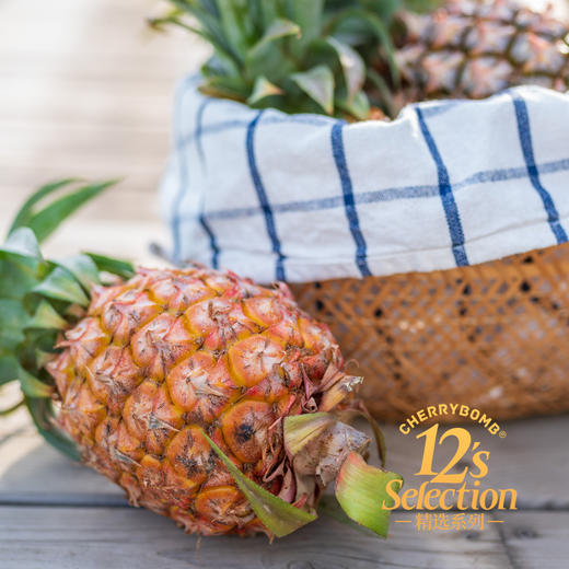 海南金钻凤梨 高甜微酸 多汁细腻 中通韵达快递  京东快递 商品图9