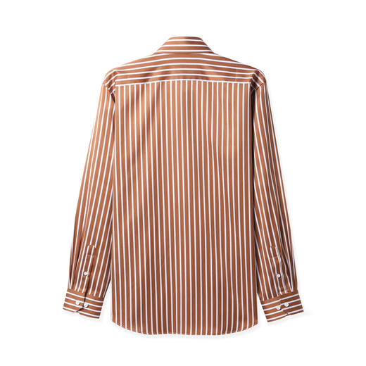 雅戈尔男士长袖衬衫春季商务休闲条纹纯棉修身衬衣YLXX120396TYY 商品图1