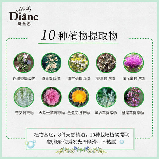 【黛丝恩】 植萃护发素 清爽柔顺型  480ml 商品图3
