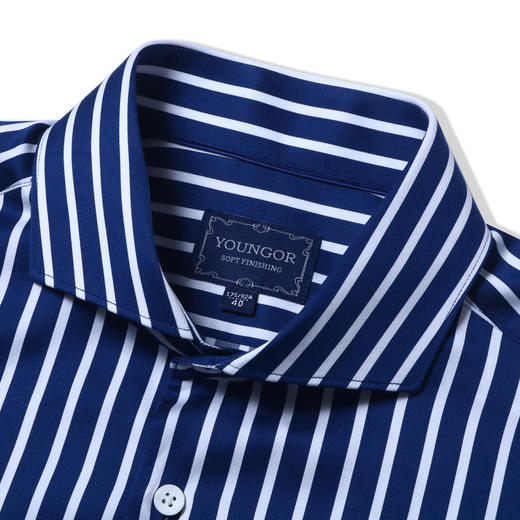 雅戈尔男士长袖衬衫春夏新品商务休闲纯棉衬衣YLXX120396FYY 商品图2