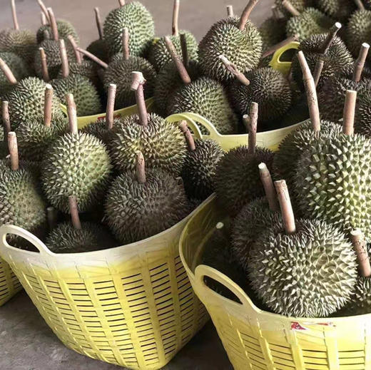 特级泰国长柄干尧榴莲5斤个称重返差
