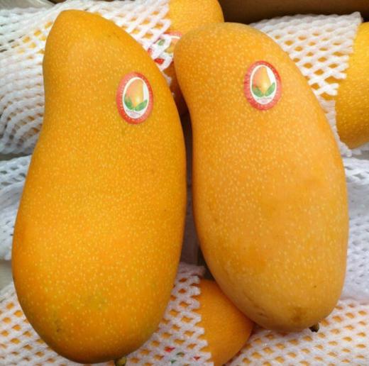 水仙芒 750g±50g 【BC】【DN】 商品图1