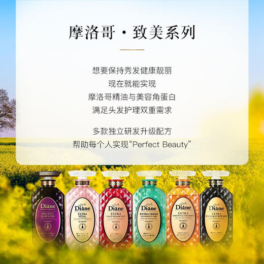 【黛丝恩致美】 摩洛哥油洗发水  损伤护理450ml 商品图6