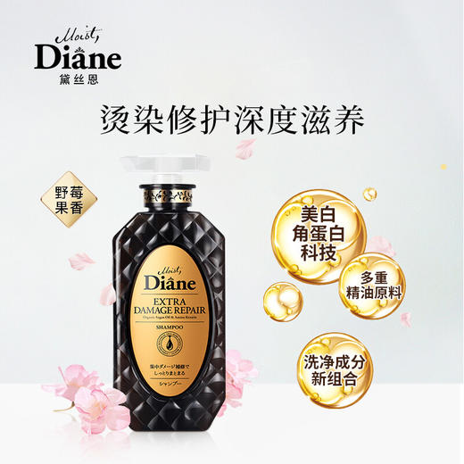 【黛丝恩致美】 摩洛哥油洗发水  损伤护理450ml 商品图1