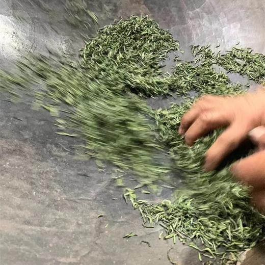 2026正宗信阳毛尖新茶 芽头 商品图3