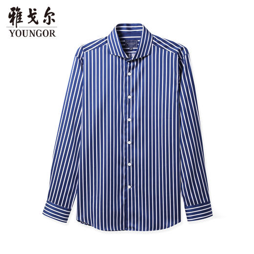 雅戈尔男士长袖衬衫春夏新品商务休闲纯棉衬衣YLXX120396FYY 商品图0