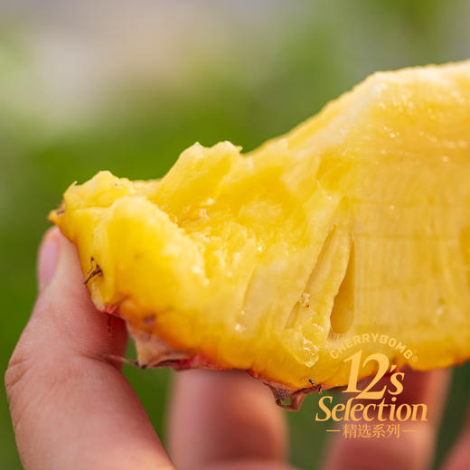 海南金钻凤梨 高甜微酸 多汁细腻 中通韵达快递  京东快递 商品图8