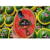 魔雷西瓜 500g/份 【到店选果称重补差价】 商品缩略图4