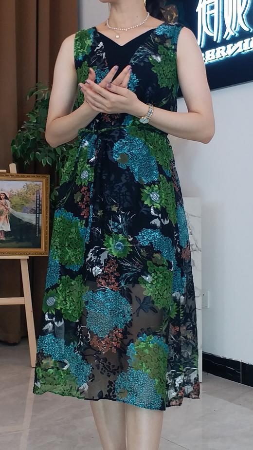 2S6939--绿色连衣裙--其他《智慧之光--波 斯艺术》 商品图1