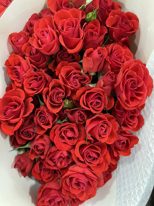 【市场多头】霓虹泡泡 红色 10支/扎 约50公分 商品图10