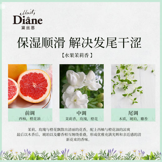 【黛丝恩】植萃洗发水 清爽柔顺型  480ml 商品图4