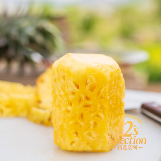 海南金钻凤梨 高甜微酸 多汁细腻 中通韵达快递  京东快递 商品图1