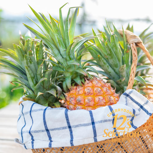 海南金钻凤梨 高甜微酸 多汁细腻 中通韵达快递  京东快递 商品图3