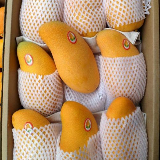 水仙芒 750g±50g 【BC】【DN】 商品图0