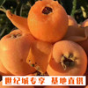 【GY】荔波有机枇杷 5斤装 商品缩略图1