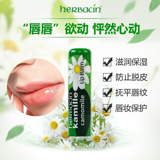 【小甘菊】纪念礼盒A 商品图2