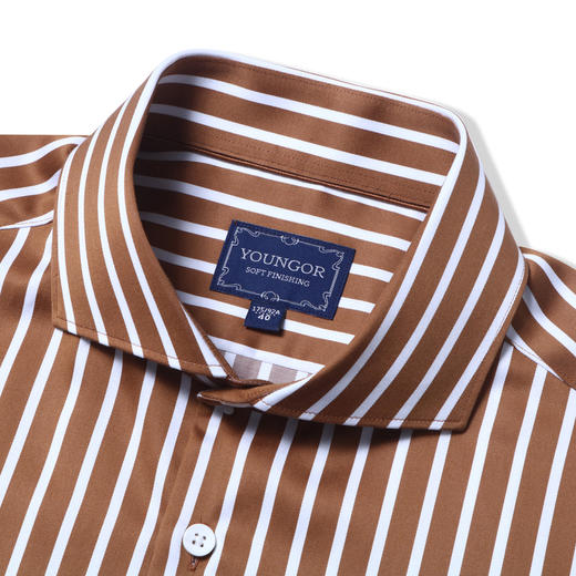 雅戈尔男士长袖衬衫春季商务休闲条纹纯棉修身衬衣YLXX120396TYY 商品图2