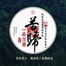 2022【一品兰香·昔归古树】低海拔口感奇迹~