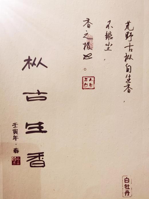 22春枞古生香·顶牡级（40-60年树龄，荒野牡丹散茶·直面茶） 商品图0