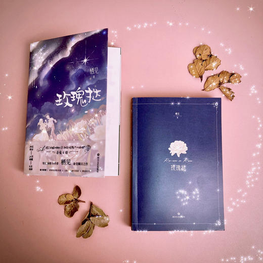 (仓发) 玫瑰挞/四川文艺出版社/栖见/9787541157097 商品图3