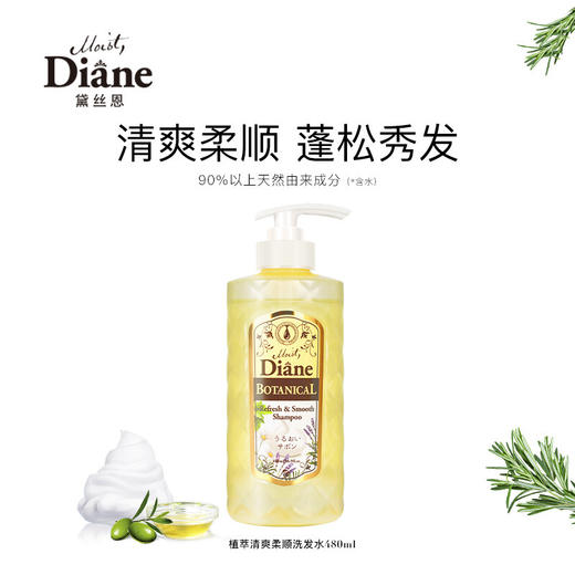 【黛丝恩】植萃洗发水 清爽柔顺型  480ml 商品图0