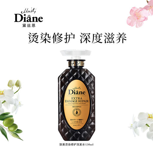 【黛丝恩致美】 摩洛哥油洗发水  损伤护理450ml 商品图0