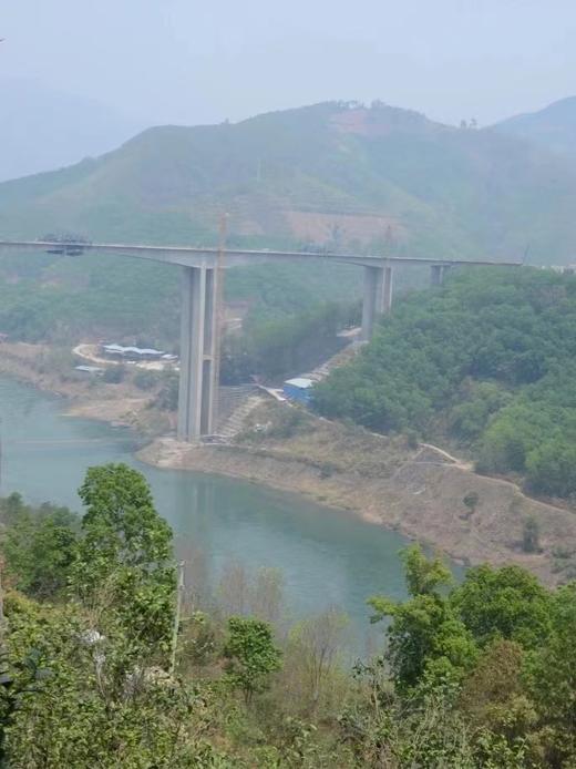 2022【一品兰香·昔归古树】低海拔口感奇迹~ 商品图11