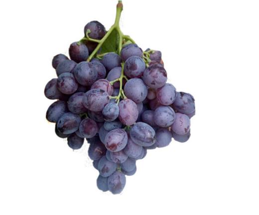 玫瑰香葡萄 500g±50g 【BC】【DN】 商品图3