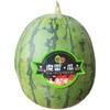 魔雷西瓜 500g/份 【到店选果称重补差价】 商品缩略图0
