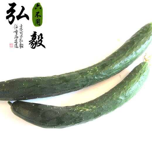 酱黄瓜 自制酱油腌制 450克/份 【弘毅六不用生态农场】 商品图3