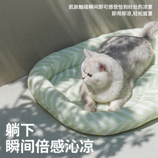 zeze围栏凉感宠物垫-B 商品图3
