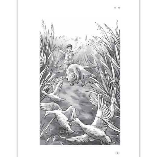 孤独的阿雏 曹文轩 儿童文学双峰优选 亲情友情生命成长 阅读中让孩子获得心灵成长和生命力量 fb 商品图3