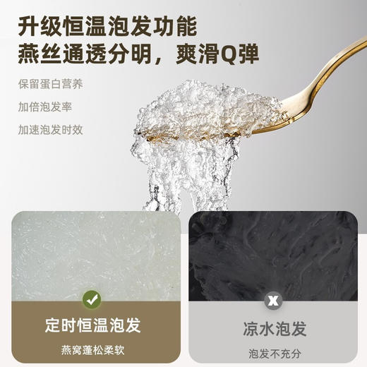 博拉利（bolali）家用多功能电炖锅电煮锅隔水燕窝炖盅炖汤锅煲汤锅婴儿煮粥锅熬粥养生BL-DG01 象牙白 商品图3