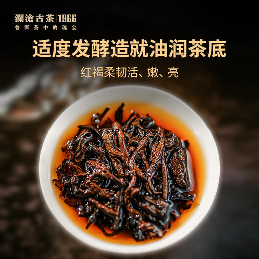 澜沧古茶2022年0081大饼普洱熟茶熟普七子饼茶357g 商品图3