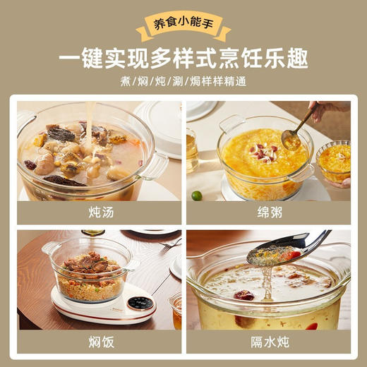 博拉利（bolali）家用多功能电炖锅电煮锅隔水燕窝炖盅炖汤锅煲汤锅婴儿煮粥锅熬粥养生BL-DG01 象牙白 商品图1