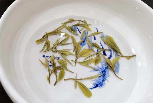 22春枞古生香·顶牡级（40-60年树龄，荒野牡丹散茶·直面茶） 商品图8