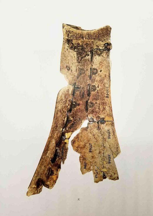 《重庆三峡博物馆藏甲骨集》，精装函套8开，宋镇豪主编，上海古籍出版社2016年版，定价880，售价428元。品相9成左右。

重庆三峡博物馆（原重庆博物馆）所藏甲骨208片。这批甲骨中小部分系端方旧藏 商品图12