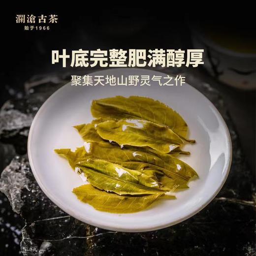 澜沧古茶2022年001大饼普洱生茶400g/片 商品图4