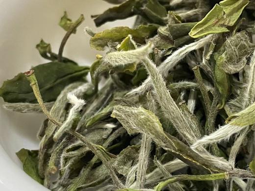 22春·枞古大音（40-60年树龄，荒野牡丹散茶·直面茶） 商品图2