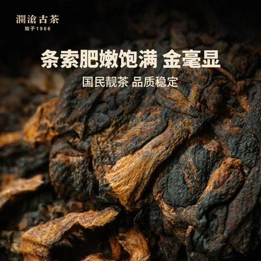 澜沧古茶2014年0081大饼普洱熟茶熟普七子饼茶357g 商品图2