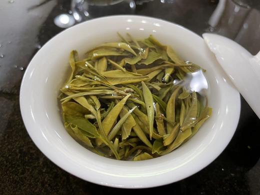 22春·枞古大音（40-60年树龄，荒野牡丹散茶·直面茶） 商品图4