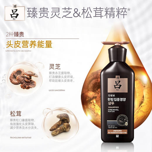 吕(Ryo)洗发水韩国进口黑吕多效修护高奢养护强韧发根洗发水400ml男士女士通用 商品图5