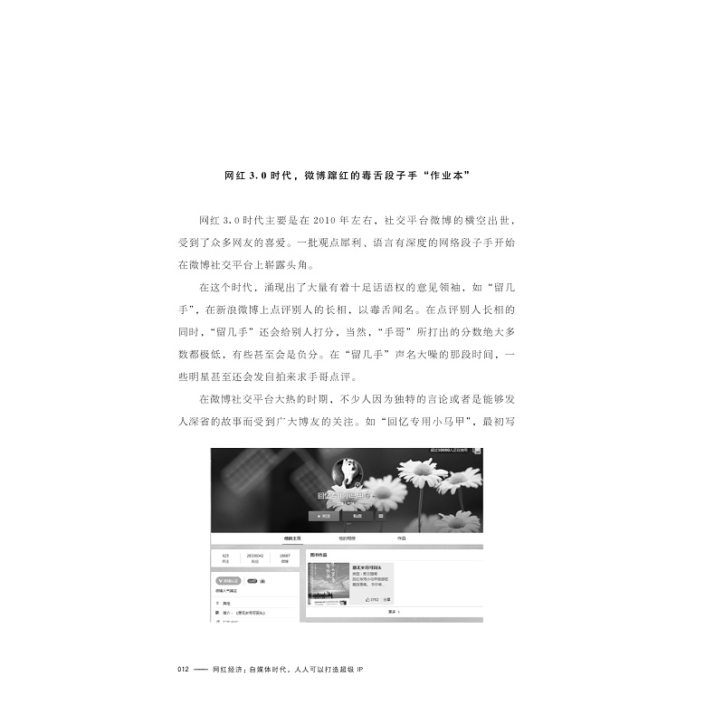 试读PDF-9787308169981(1-1)-网红经济: 自媒体时代,人人可以打造chao级IP_012.jpg
