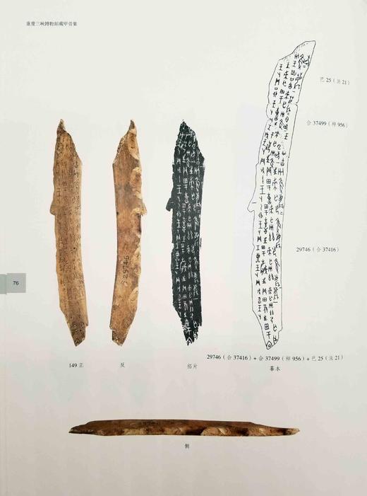 《重庆三峡博物馆藏甲骨集》，精装函套8开，宋镇豪主编，上海古籍出版社2016年版，定价880，售价428元。品相9成左右。

重庆三峡博物馆（原重庆博物馆）所藏甲骨208片。这批甲骨中小部分系端方旧藏 商品图13