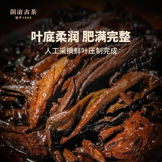 澜沧古茶2014年0081大饼普洱熟茶熟普七子饼茶357g 商品图4