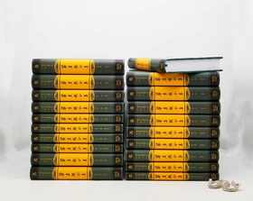 《梁启超全集》，精装，全20册

《梁启超全集》，精装，全20册，16开本，汤志钧主编，中国人民大学出版社2018年版，13000多页，定价8980，售价3688元。