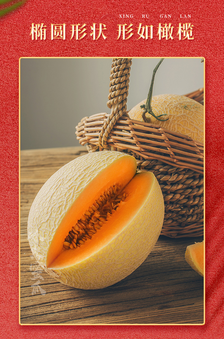 至爱蜜瓜23瓜新疆哈密瓜新品基德邦顺丰随机72小时内发货基地直发