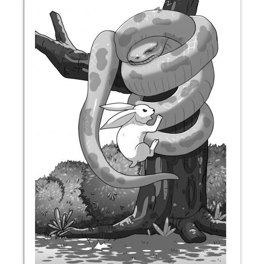 母兔奇迹 沈石溪 儿童文学双峰优选 亲情友情生命成长 fb 商品图3