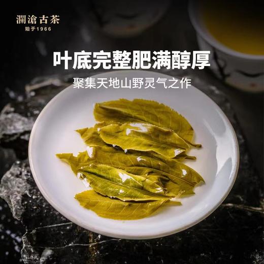 澜沧古茶 2009年001景迈山古树春茶普洱茶生茶大饼357g/片 商品图3